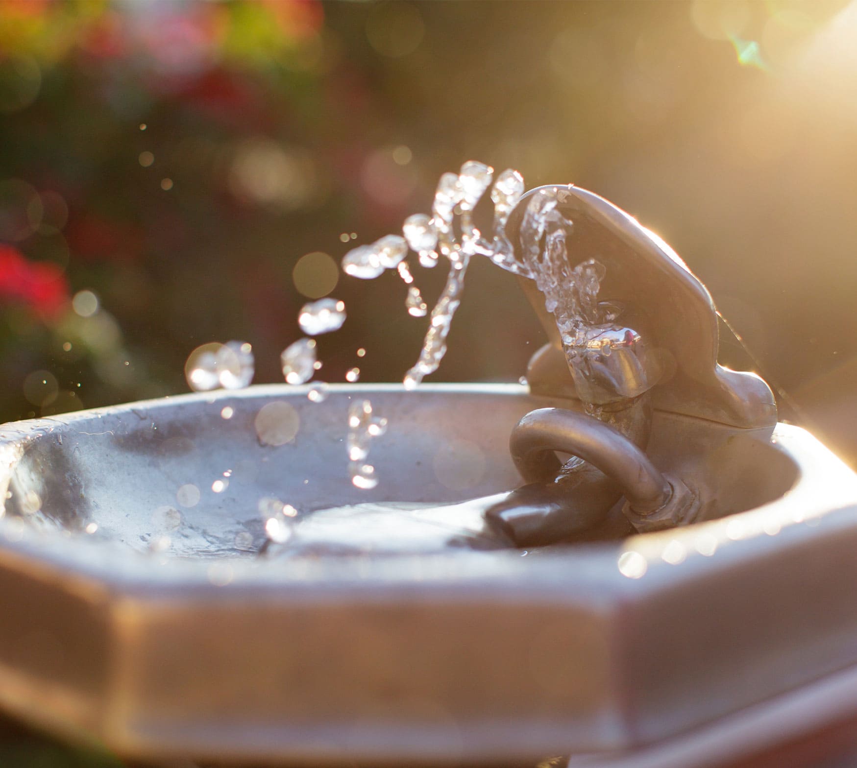 water fountain spraying water on a sunny day