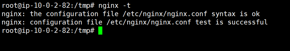 Nginx configuration verification