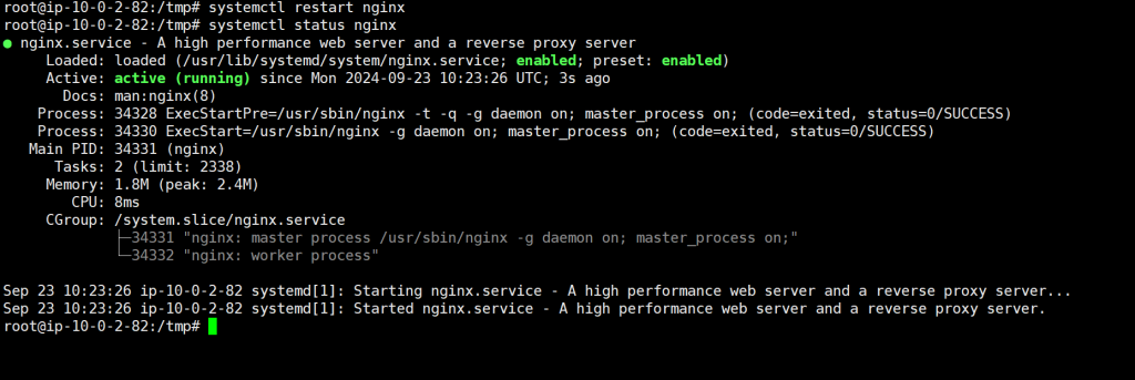 Restart Nginx 