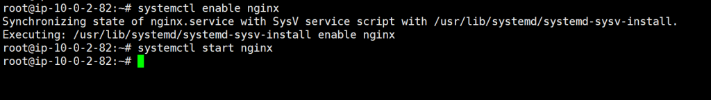 Enable and Start Nginx service