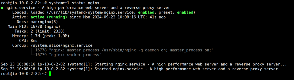 Check Nginx Service Status