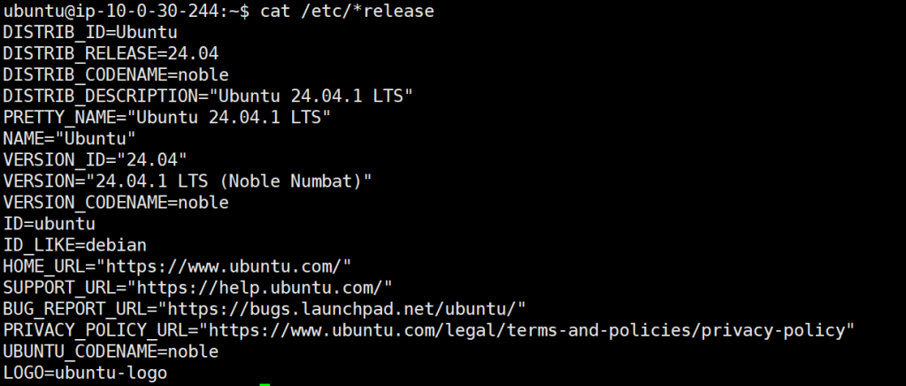 Ubuntu OS Output